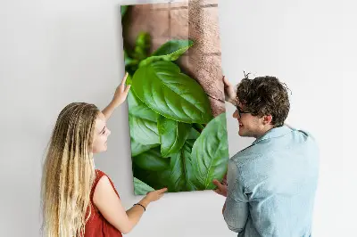 Magnetic glass dry erase board with basil leaves design