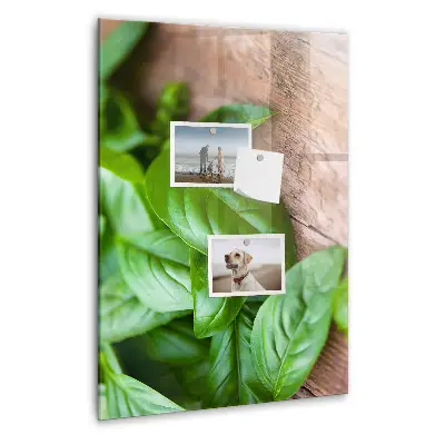 Magnetic glass dry erase board with basil leaves design