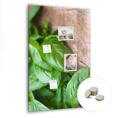 Magnetic glass dry erase board with basil leaves design