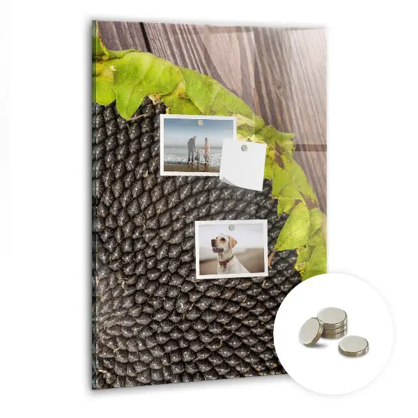 Magnetic glass dry erase board Sunflower seeds
