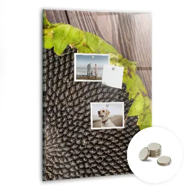 Magnetic glass dry erase board with sunflower seeds design