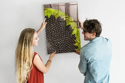 Magnetic glass dry erase board Sunflower seeds