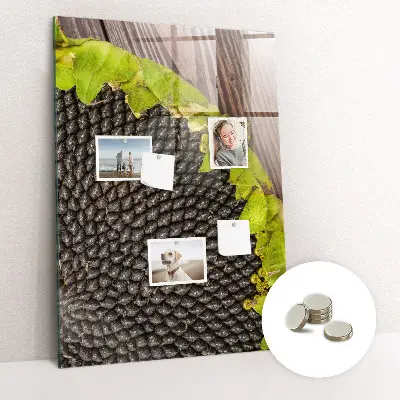 Magnetic glass dry erase board Sunflower seeds