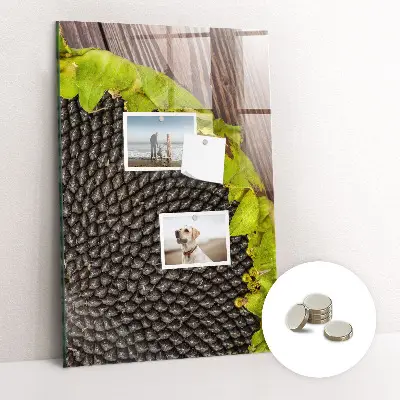 Magnetic glass dry erase board Sunflower seeds
