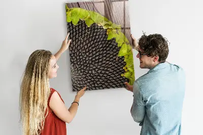 Magnetic glass dry erase board Sunflower seeds