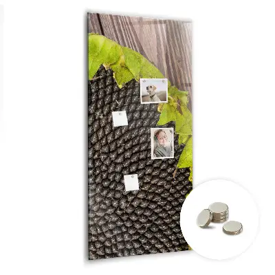 Magnetic glass dry erase board Sunflower seeds