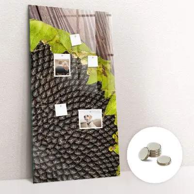 Magnetic glass dry erase board Sunflower seeds