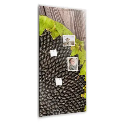 Magnetic glass dry erase board Sunflower seeds
