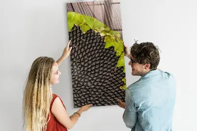 Magnetic glass dry erase board Sunflower seeds