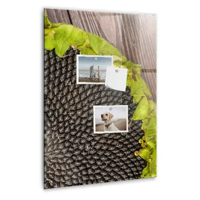 Magnetic glass dry erase board with sunflower seeds design