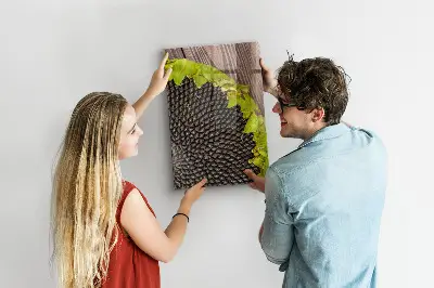 Magnetic glass dry erase board Sunflower seeds