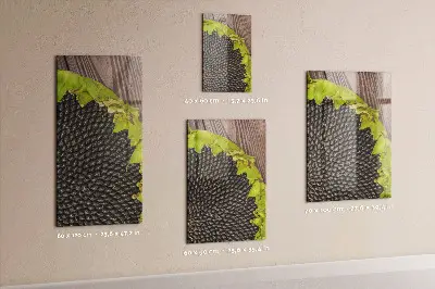 Magnetic glass dry erase board Sunflower seeds