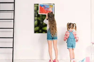Fresh Avocado Magnetic Wall Board