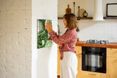 Juicy Lettuce Magnetic Board