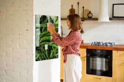 Magnetic wall board with green peppers print