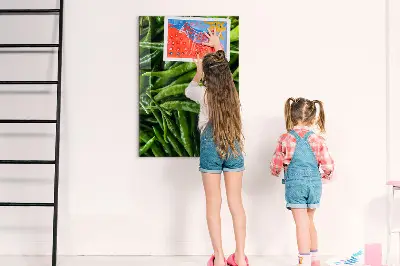 Magnetic wall board with green peppers print