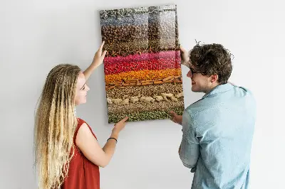 Magnet board Rows of spices