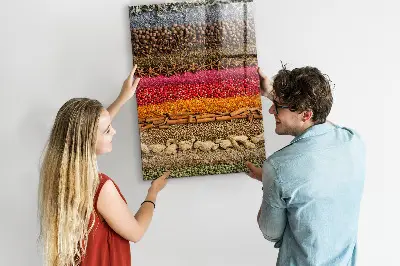 Rows of Spices Magnetic Board