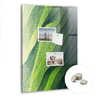 Landscape nature lines magnet board