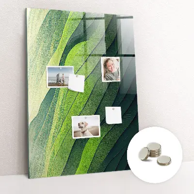 Magnet board Lines landscape nature