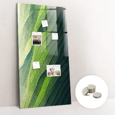 Landscape nature lines magnet board