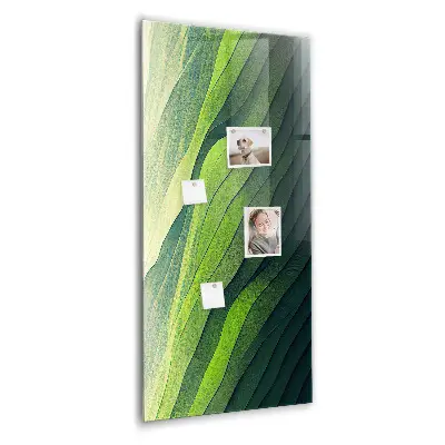 Landscape nature lines magnet board