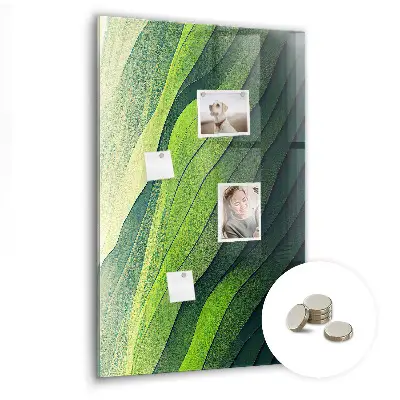 Landscape nature lines magnet board