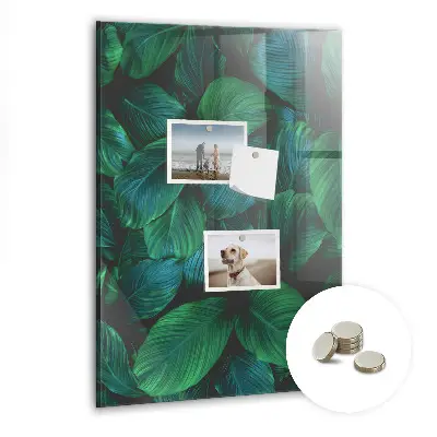Large tropical leaves magnetic wall board