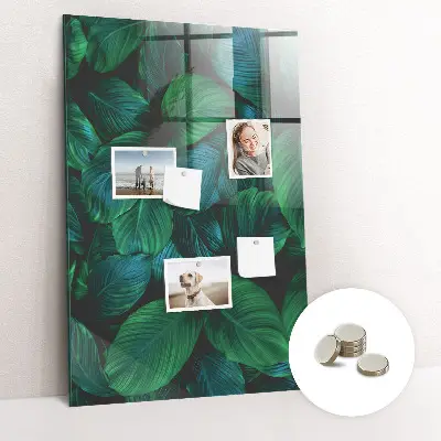 Large tropical leaves magnetic wall board