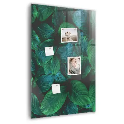 Large tropical leaves magnetic wall board