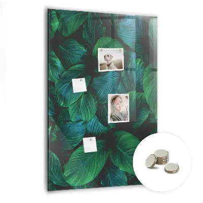 Large tropical leaves magnetic wall board