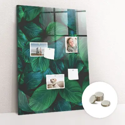 Large tropical leaves magnetic wall board