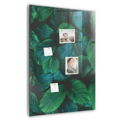 Large tropical leaves magnetic wall board