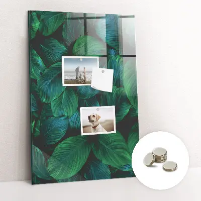 Large tropical leaves magnetic wall board