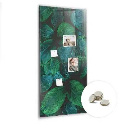 Large tropical leaves magnetic wall board