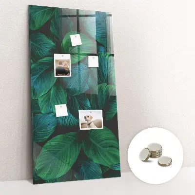 Large tropical leaves magnetic wall board