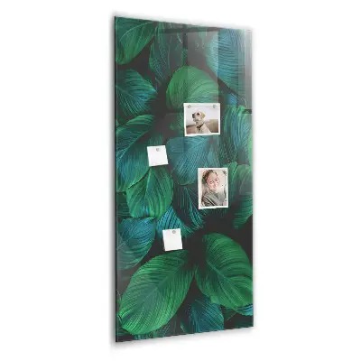Large tropical leaves magnetic wall board