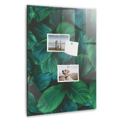 Large tropical leaves magnetic wall board