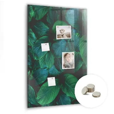 Large tropical leaves magnetic wall board