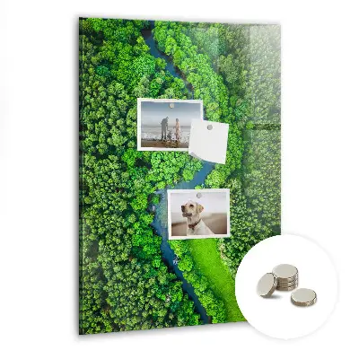 Magnetic glass dry erase board featuring a forest river print