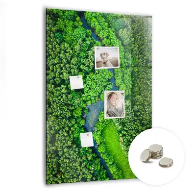 Magnetic glass dry erase board featuring a forest river print