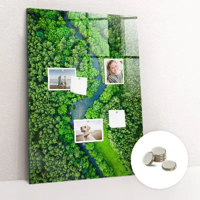 Magnetic glass dry erase board featuring a forest river print