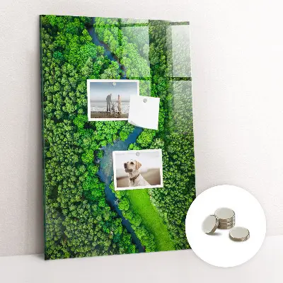 Magnetic glass dry erase board featuring a forest river print