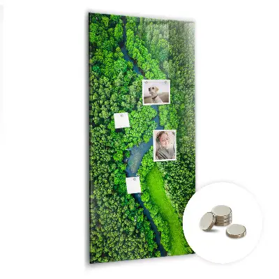 Magnetic glass dry erase board featuring a forest river print