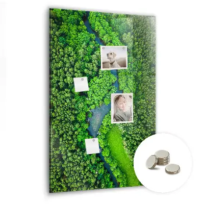 Magnetic glass dry erase board featuring a forest river print