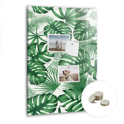 Monstera leaf design magnetic board