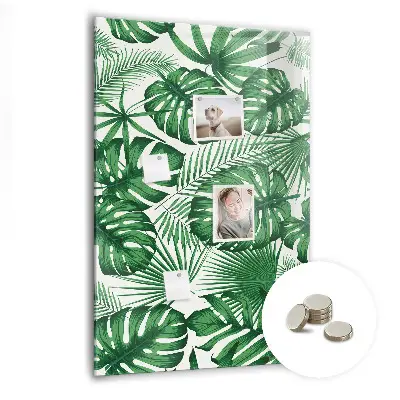 Monstera leaf design magnetic board
