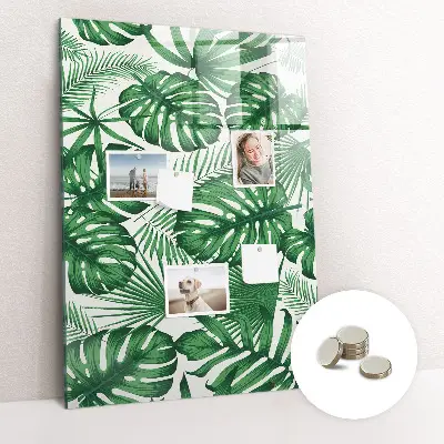 Monstera leaf design magnetic board