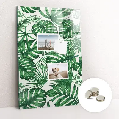 Monstera leaf design magnetic board