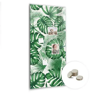 Monstera leaf design magnetic board